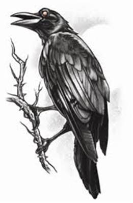 Tatouage gothic the raven TINSLEY 