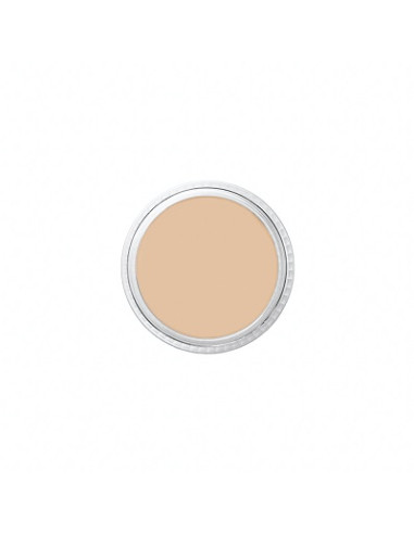 Correcteur creme CC0 ultralite 8.5g BEN NYE