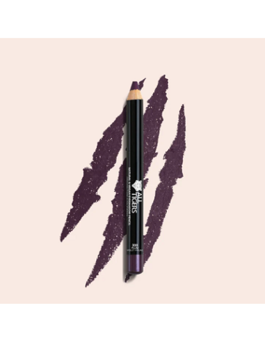 Crayon fard à paupières N°301 silver grey 3g ALL TIGERS 