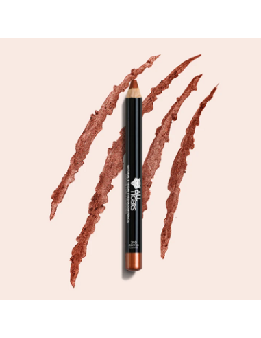 Crayon fard à paupières N°301 silver grey 3g ALL TIGERS 