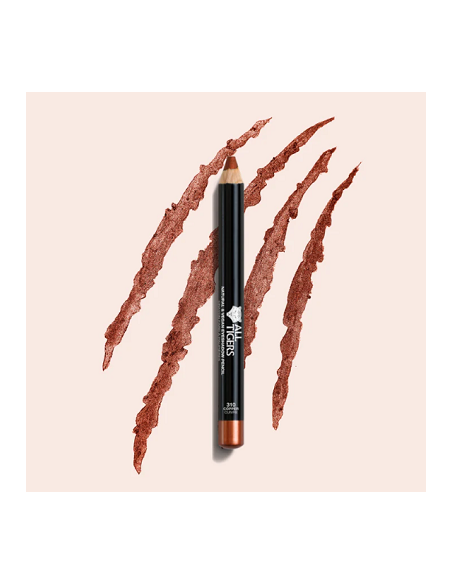 Crayon fard à paupières N°301 silver grey 3g ALL TIGERS 