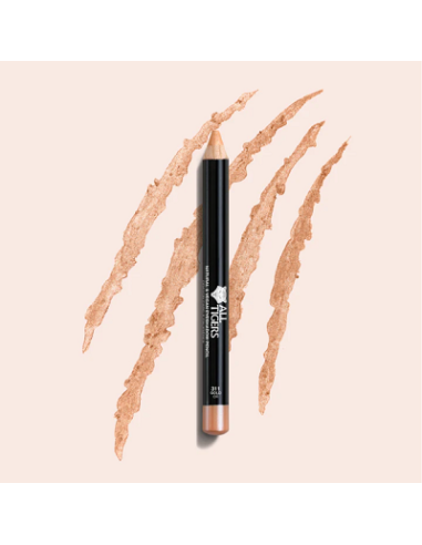 Crayon fard à paupières N°301 silver grey 3g ALL TIGERS 