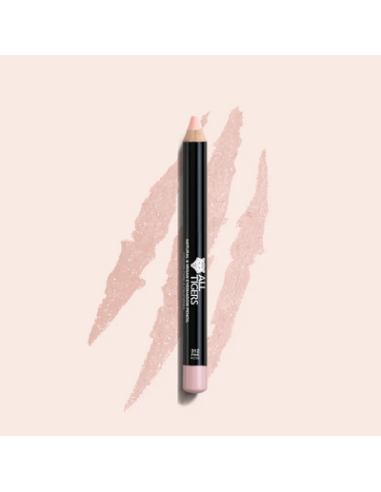 Crayon fard à paupières N°301 silver grey 3g ALL TIGERS 