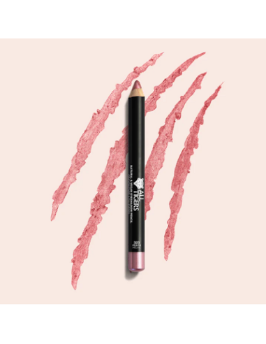 Crayon fard à paupières N°301 silver grey 3g ALL TIGERS 