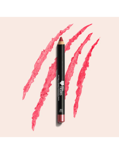 Crayon fard à paupières N°301 silver grey 3g ALL TIGERS 