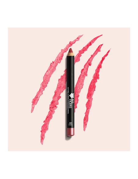 Crayon fard à paupières N°301 silver grey 3g ALL TIGERS 