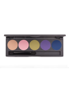 Palette fard à paupieres  sweet & sassy x 5 couleurs  PLEIN FARD