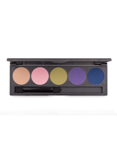 Palette fard à paupieres  sweet & sassy x 5 couleurs  PLEIN FARD