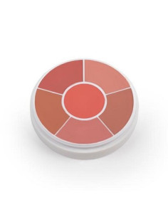 Kit x 6 couleurs CR200 28g BEN NYE