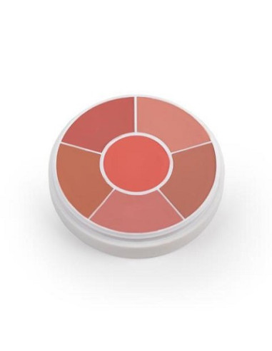 Kit x 6 couleurs CR200 28g BEN NYE