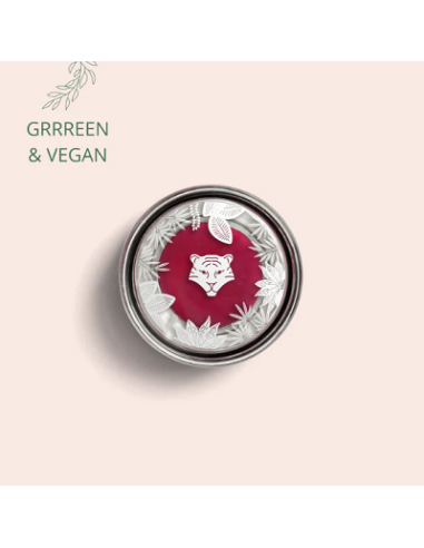 Lips & blush N°531 apricot 3.5g ALL TIGERS