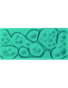 Moule prothèse 7 acné MEL PRODUCTION