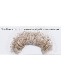 Moustache M030 salt & pepper NUMERIC PROOF  