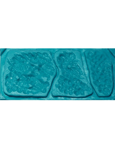 Moule road rash 19 prothèse  MEL PRODUCTION