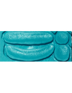 Moule prothèse 5B blenders 2 MEL PRODUCTION