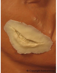 Prothèse  FRW039 petite coupure BURMAN