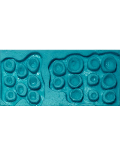 Moule prothèse 15 moles & skin tags MEL PRODUCTION