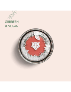 Lips & blush N°531 apricot 3.5g ALL TIGERS