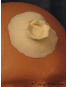 Prothèse FRW035 trou imact de balle BURMAN 