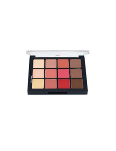 Palette blush & contour STP11 x12 colors 25g BEN NYE 