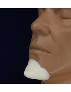 Prothèse FRW079 menton chinois  BURMAN