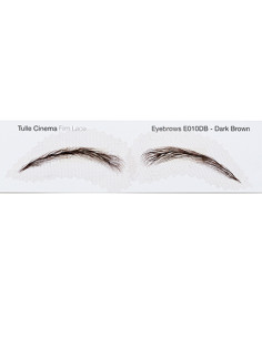 Eyebrow E10 dark brown NUMERIC PROOF