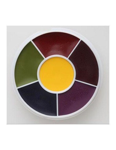 Kit x 6 couleurs EW4 masteur bruise 28g BEN NYE