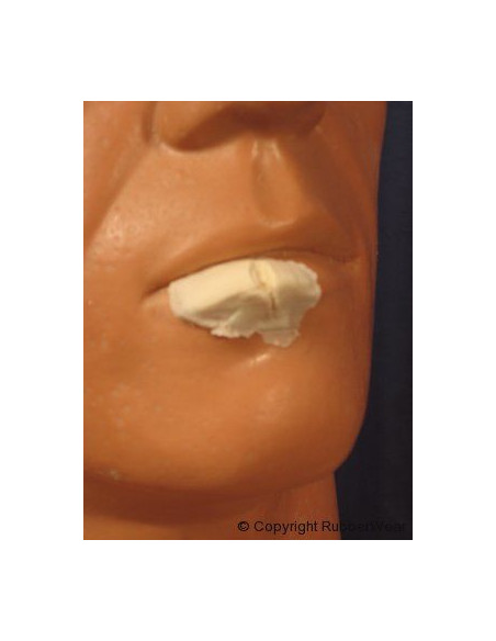 Prothèse FRW021 large lèvre fendue BURMAN