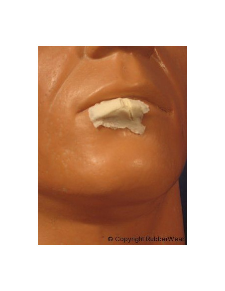 Prothèse FRW022 petite lèvre fendue BURMAN