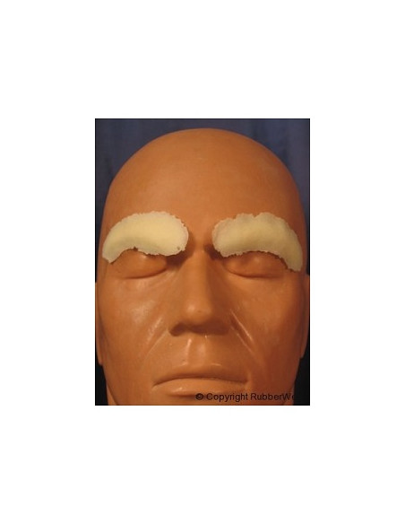 Prothèse FRW055 cache sourcils BURMAN