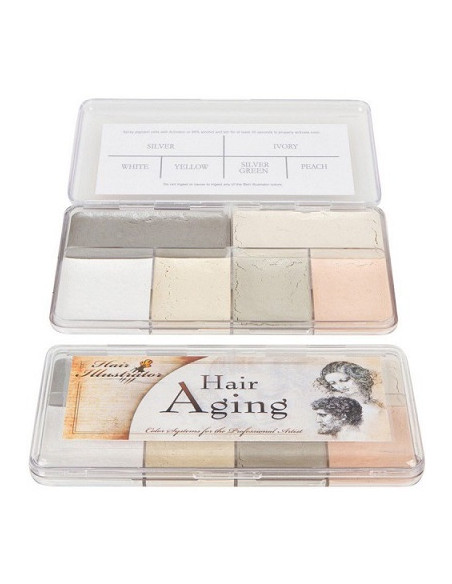 Palette Hair Aging x 6 couleurs SKIN ILLUSTRATOR