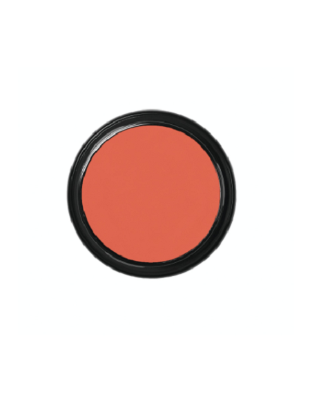 Blanc de clown  CW2 49g BEN NYE
