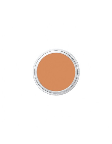 Correcteur FS1 studio beard cover 8.5g BEN NYE