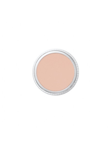 Correcteur NT1 tatoo cover 8.5g BEN NYE