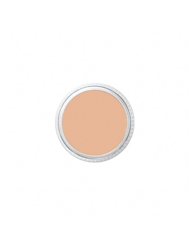 Correcteur NT1 tatoo cover 8.5g BEN NYE