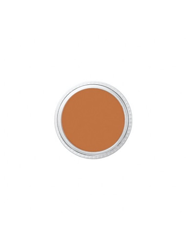Correcteur mojave SC18 burnt  brown 8.5g BEN NYE