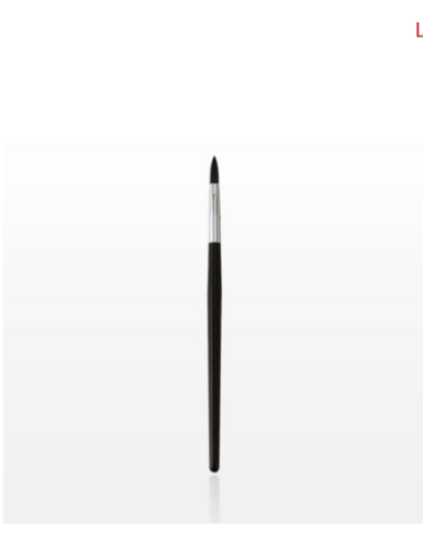 Kit pinceaux pour rouge à lèvres x 25  76655 PLEIN FARD