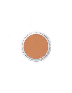 Correcteur NT1 tatoo cover 8.5g BEN NYE