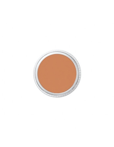 Correcteur NT1 tatoo cover 8.5g BEN NYE