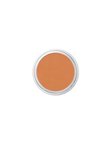 Correcteur mojave SC18 burnt  brown 8.5g BEN NYE