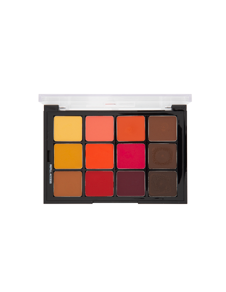 Palette medium to dark matte teint STP13 x12 couleurs 25gr  BEN NYE 