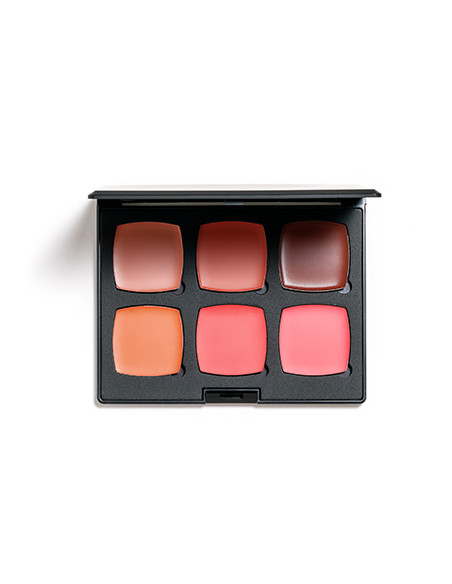 Palette blush crème AOP6 6 x couleurs 3.5g. NUMERIC PROOF