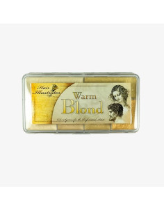 Palette Hair Warm Blonde x 10 couleurs  SKIN ILLUSTRATOR