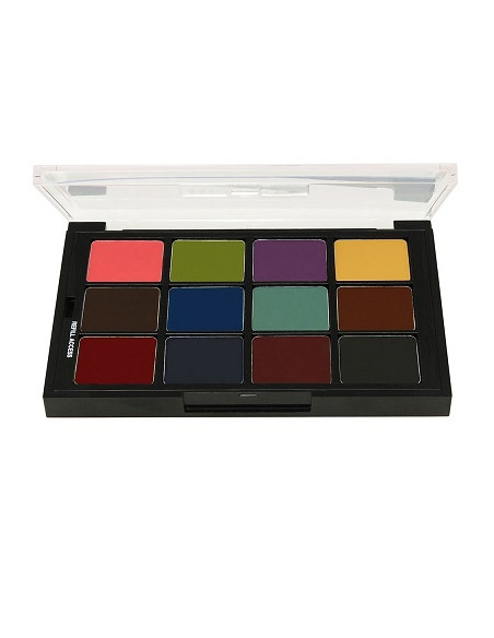 Palette essentielle FX STP41 x12 colors 26g BEN NYE 
