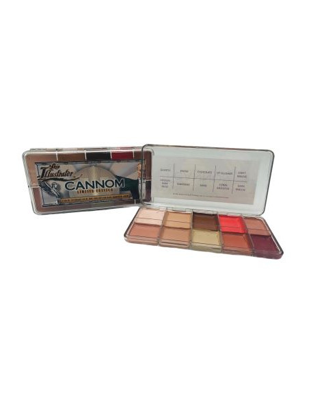 Palette greg cannom x 10 couleurs SKIN ILLUSTRATOR