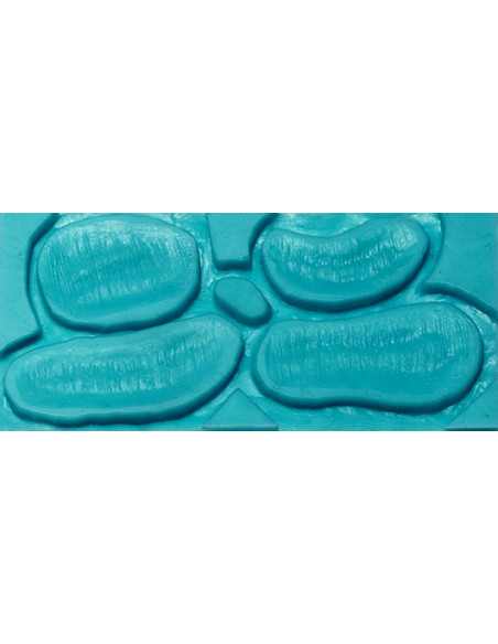 Moule prothèse 3B assortited intented scars MEL PRODUCTION