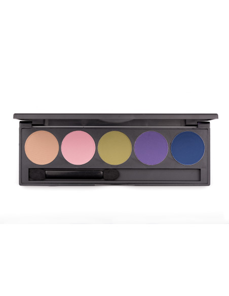 Palette fard à paupieres  sweet & sassy x 5 couleurs  PLEIN FARD