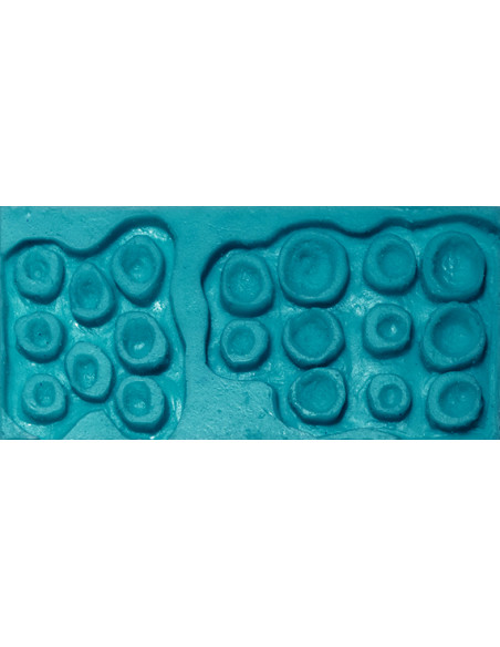 Moule prothèse 15 moles & skin tags MEL PRODUCTION