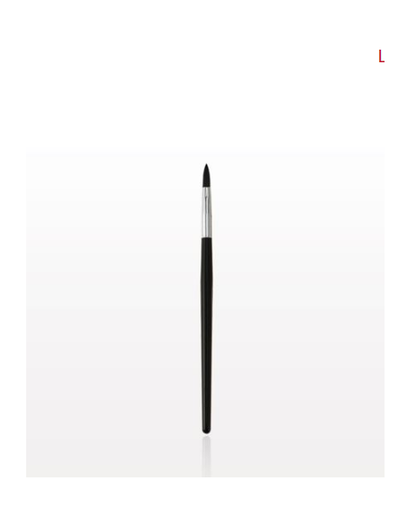 Kit pinceaux pour rouge à lèvres x 25  76655 PLEIN FARD