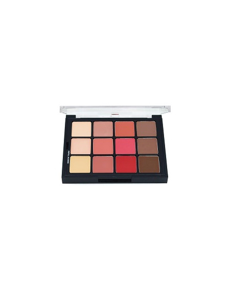 Palette blush & contour STP11 x12 colors 25g BEN NYE 